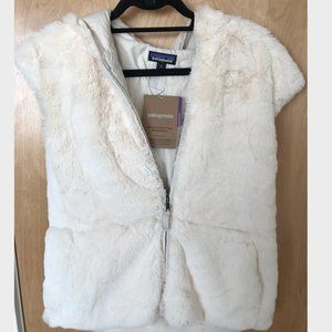 Patagonia Lunar Frost Hooded Vest